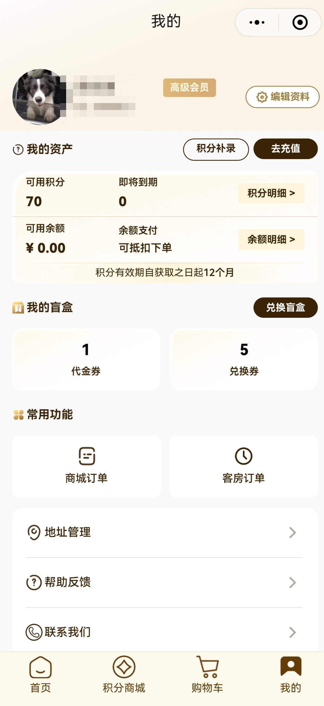 会员中心与积分